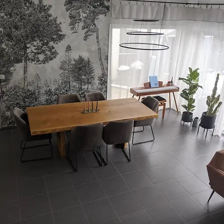 Maison Moderne Avec Jardin